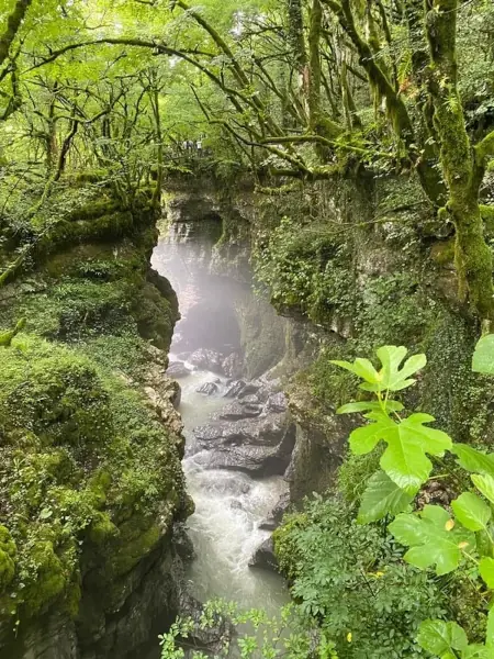 Grüne Canyons in Georgien