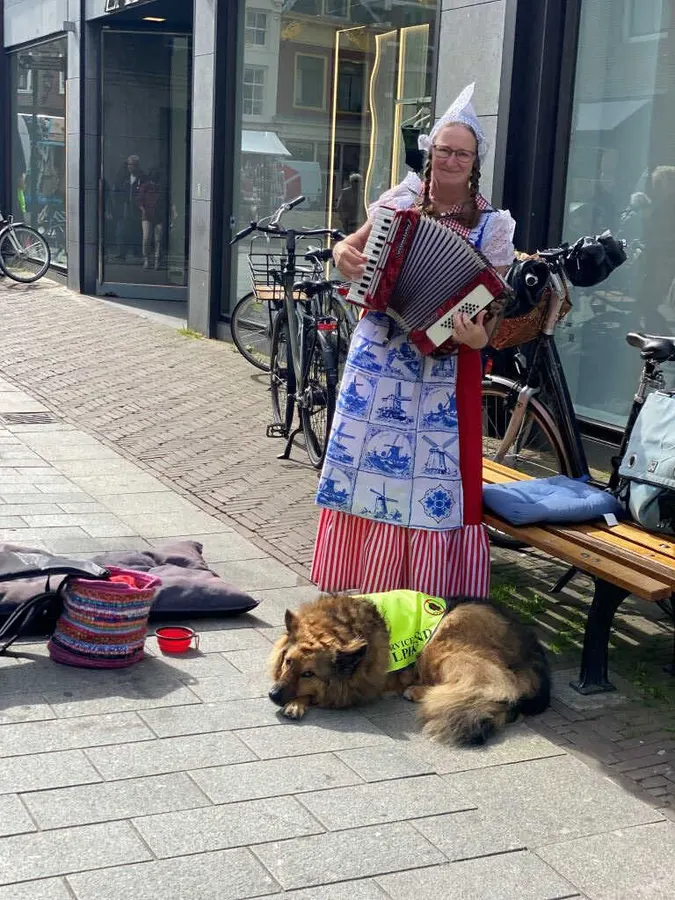 Die "Simba-Probe-Probefahrt"