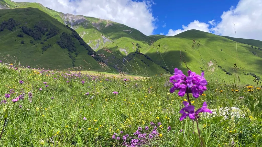 Feiern in Georgien