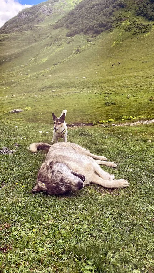 Feiern in Georgien