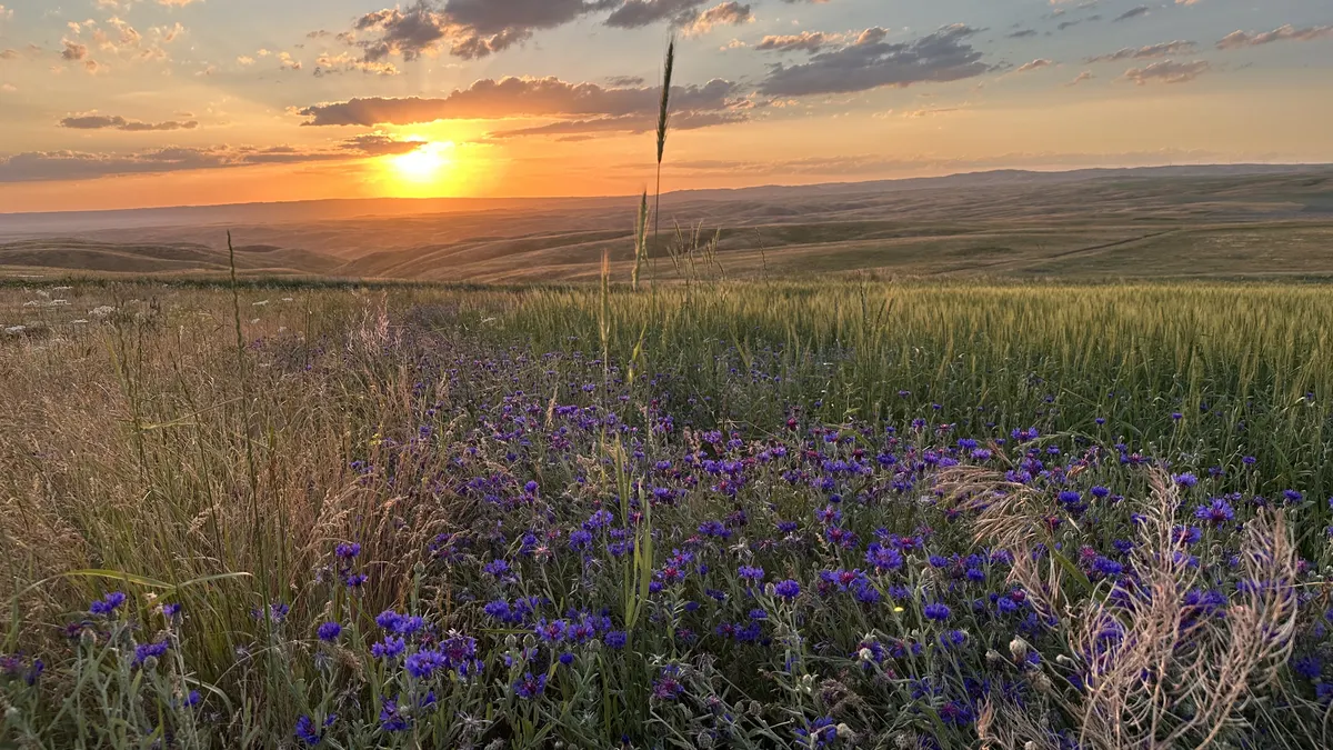 Kasachstan