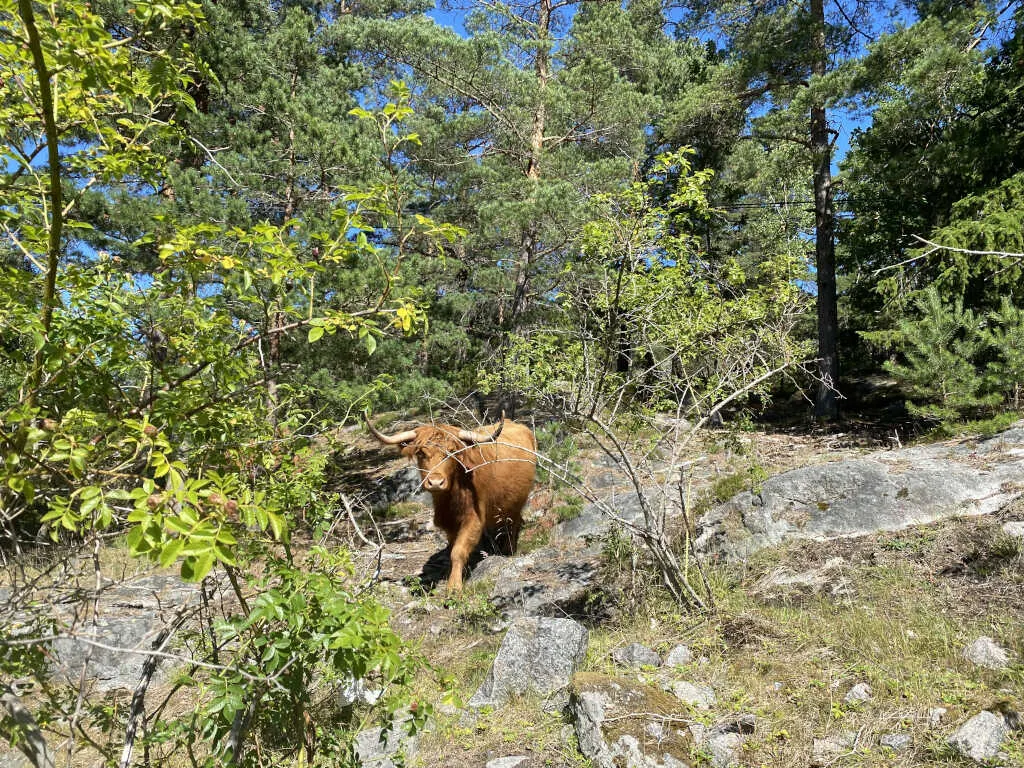 Norwegen Teil 1