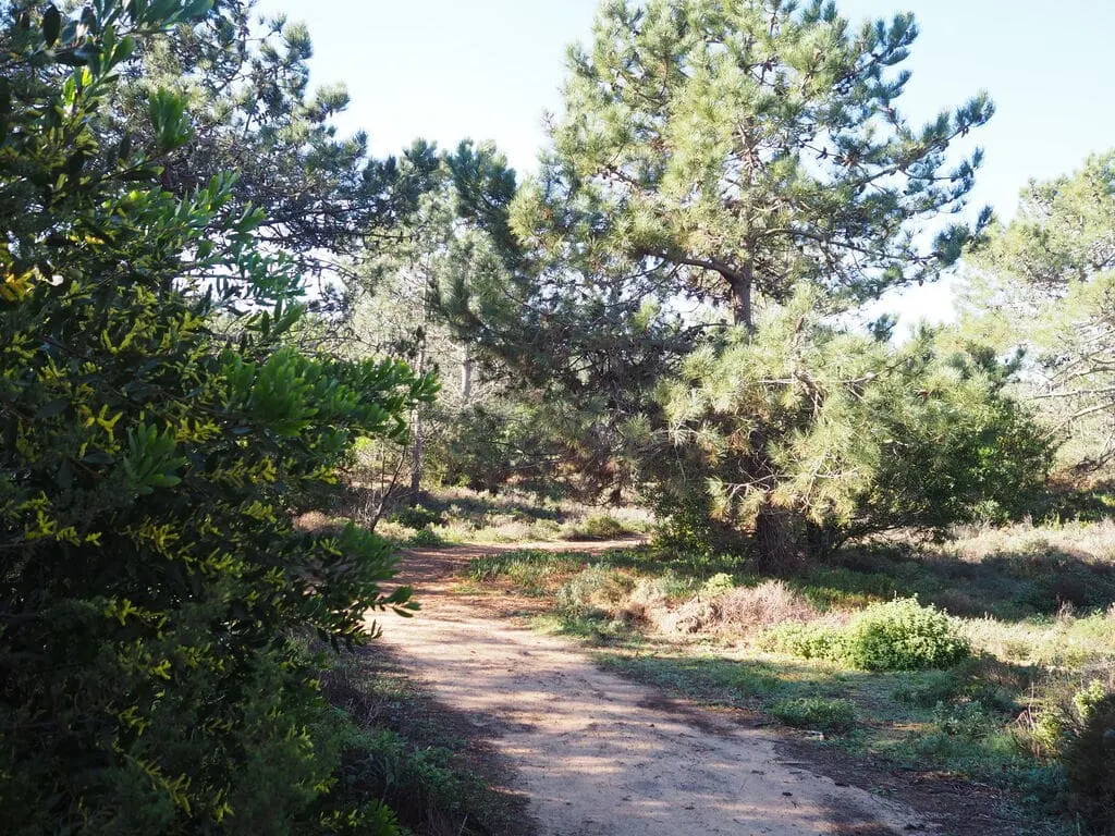 Portugal - Fischerpfad