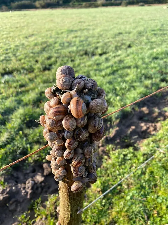 Portugal - Fischerpfad
