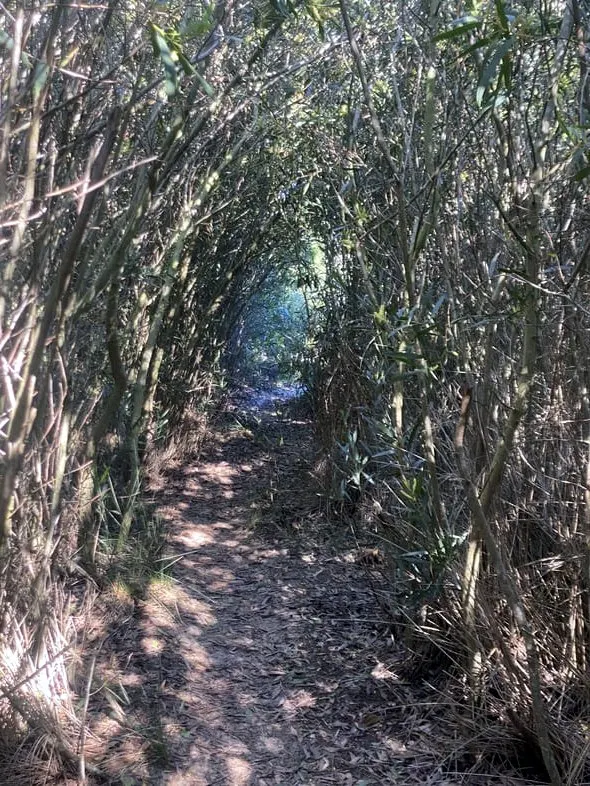 Portugal - Fischerpfad